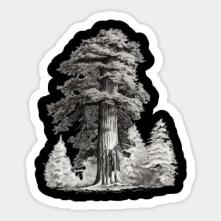 Wild Pine Forest - Embrace Nature's Majesty Sticker